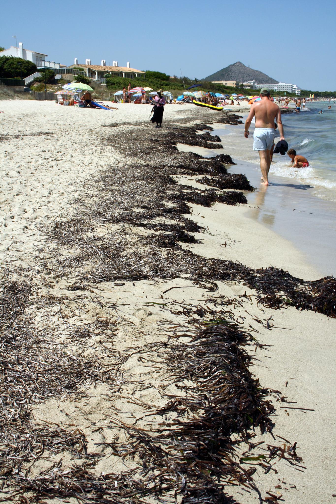 Strande Calas Buchten Playa De Muro