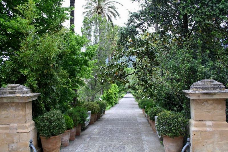 Benzinbruhe Fliesst Durch Botanischen Garten Von Soller